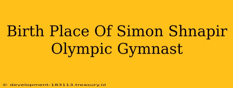 Birth Place Of Simon Shnapir Olympic Gymnast