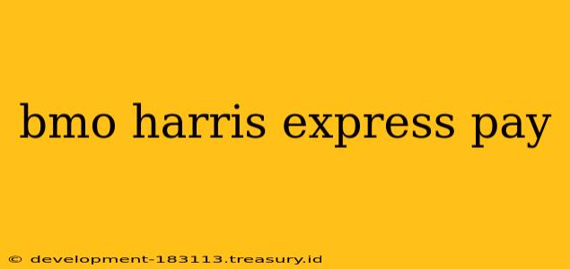 bmo harris express pay