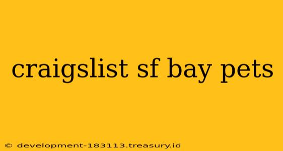 craigslist sf bay pets