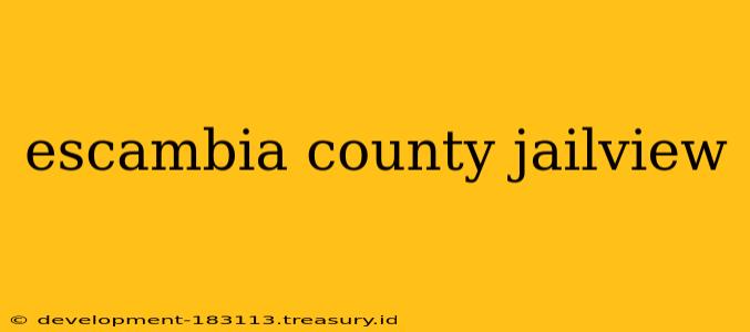 escambia county jailview