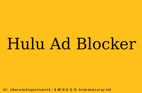 Hulu Ad Blocker