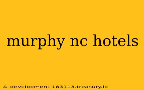 murphy nc hotels