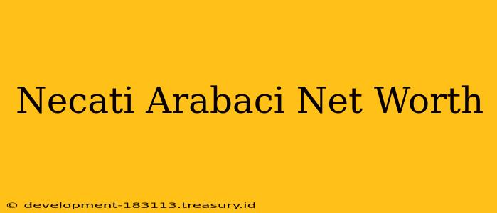 Necati Arabaci Net Worth