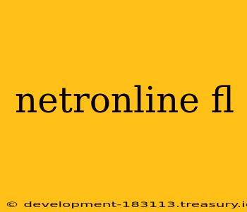 netronline fl