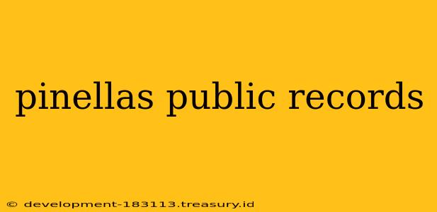 pinellas public records