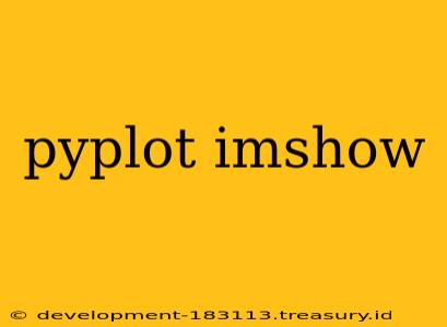 pyplot imshow